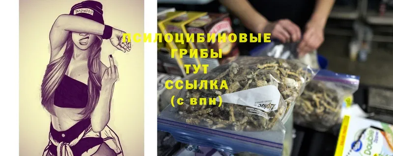 Псилоцибиновые грибы MAGIC MUSHROOMS  гидра зеркало  Валуйки 